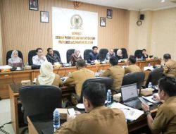 Bahas LKPj 2024, Pansus I DPRD Kalsel Serius Kawal Kinerja Mitra Kerja