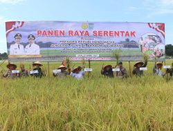 Lumbung Padi Lok Tangga Didorong Tingkatkan Potensi di Tengah Tantangan Iklim