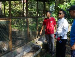 Kondisi Kebun Binatang Jahri Saleh Kian Memprihatinkan, Yamin Instruksikan Perbaikan Fasilitas
