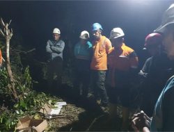 Respons Kilat PLN: Gangguan Transmisi Diatasi dalam 19 Jam Meski Medan Ekstrem