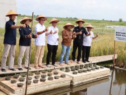 Bank Kalsel Wujudkan Kolaborasi Ketahanan Pangan