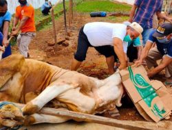 Tak Cukup Hanya Tahu Bismillah, Ini Ilmu Wajib Bagi Penyembelih Hewan Kurban