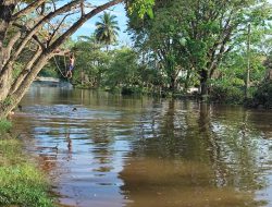 Pendangkalan Sungai Martapura Terus Meningkat, Banjir Rob di Banjarmasin Terancam Semakin Parah