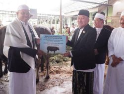 Gubernur H. Muhidin dan Wagub Kalsel Hasnuryadi Serahkan Bantuan Sapi Kurban Untuk Masyarakat di Masjid Sabilal Muhtadin