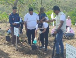 Upaya Perbaikan Ekosistem dan Penurunan Emisi Karbon, PT PLN Lakukan Penghijauan di Bukit Batu