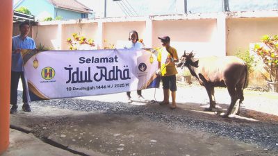 Teruskan Tradisi Baik, Hasnur Group Kembali Serahkan Satu Ekor Sapi Kurban ke PWI Kalsel