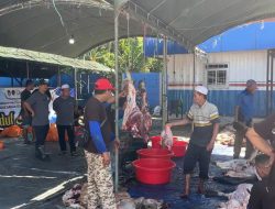 Sembelih 19 Ekor Hewan Kurban, KSOP Kelas I Banjarmasin Bagikan 2.000 Kantong Daging ke Warga Sekitar