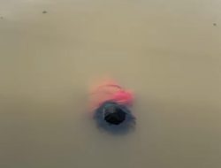 Mayat Pria Mengapung di Sungai Martapura, Diduga Korban perkelahian