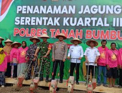 Tanah Bumbu Tanam Jagung Serentak Kuartal III, Dukung Ketahanan Pangan Nasional