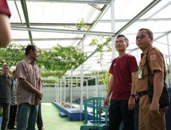 Dalam Semangat Kemerdekaan, PLN UP2B Kalselteng Dukung Integrated Farming Pokmas Cempaka Sari Lewat Program TJSL