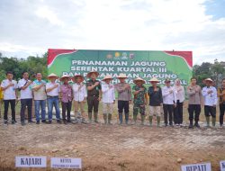 Bupati Balangan Apresiasi Penanaman Jagung Serentak Kuartal III Dukung Ketahanan Pangan Nasional