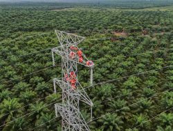 Sedikit Lagi, PLN Berhasil Operasikan 2 Sirkit Transmisi di Kalteng dan Kalbar Jelang Kemerdekaan RI ke-80