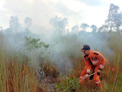 Titik Panas Turun Karhutla Kalsel 2025 Terkendali