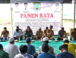 Panen Raya di Tanah Habang Kanan, Pemkab Balangan Dorong Penguatan Ketahanan Pangan