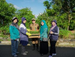 Kelurahan Mentaos Canangkan Gerakan “Sarumbai” (Satu Rumah Satu Tanaman Cabai)