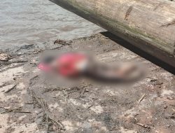 Kecelakaan Kerja di Salah Satu Pabrik Kayu Kecamatan Banjarmasin Selatan, Seorang Buruh Meninggal