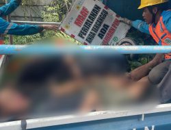 Pemotor Tewas Usai Tabrakan dengan Mobil PLN