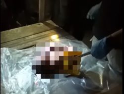 Polisi Beberkan Hasil Autopsi Jasad Bayi di Banjarbaru: Luka Lebam dan Patah Tulang Leher