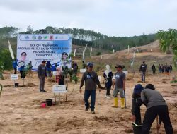 Program REDD+ Sumber Pendanaan Internasional Bergulir, Pemprov Kalsel Pasang Target Penanaman di Lahan Seluas 300 Hektare