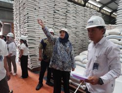 Hj Mariana Tegaskan Stok Beras di Kalsel Sangat Melimpah