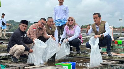 PLN Pulihkan Produksi Ikan Pesisir Loa Kulu Lewat Electrifying Marine di Momentum Hari Pahlawan