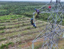 Para Penjaga Listrik: Semangat Kepahlawanan di Menara Transmisi
