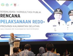 Pemprov Kalsel Komitmen Pengelolaan Hutan Berkelanjutan Melalui Penerapan REDD+