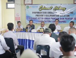 Pengembangan Kelapa Genjah Dimaksimalkan, Komisi II Siap Kawal dan Bantu Petani