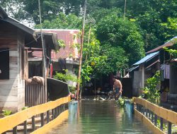 Banjir Melanda 8 Kabupaten/Kota di Kalsel, 50.585 Jiwa Terdampak
