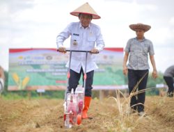 Wujudkan Pangan Nasional, Bupati Balangan Dukung Penuh Program Penanaman Jagung Serentak Kuartal lV