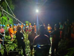 PLN UPT Pontianak Pulihkan Jaringan Terdampak Pohon Tumbang pada Line 2 Tayan – Ngabang