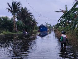 Membelah Banjir Demi Sesuap Nasi