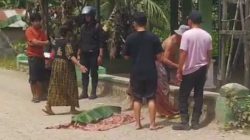 Siswa SDN 1 Wawai Tewas Terlindas Truk Setelah Terjatuh dari Sepeda