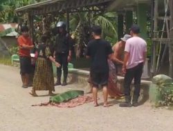 Siswa SDN 1 Wawai Tewas Terlindas Truk Setelah Terjatuh dari Sepeda