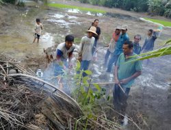 Banjir Awal 2026 Rusak 1.400 Hektare Lahan Pertanian di Kalsel