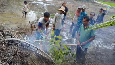 Banjir Awal 2026 Rusak 1.400 Hektare Lahan Pertanian di Kalsel