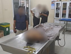 Cekcok Berujung Maut, Istri Siri Tikam Suami