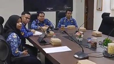 Berubah Skema dari Sewa Menjadi Beli, Transparansi Pembelian Mobil Listrik Dipertanyakan?