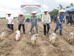 Pemprov Apresiasi Polda Kalsel Tanam Jagung di Jalan 1.431 Hektare di Kalsel, Tanah Laut Disiapkan Jadi Sentra Produksi