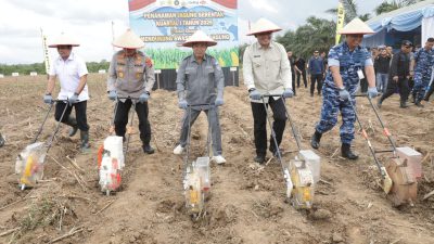 Pemprov Apresiasi Polda Kalsel Tanam Jagung di Jalan 1.431 Hektare di Kalsel, Tanah Laut Disiapkan Jadi Sentra Produksi