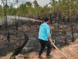 Waspada Potensi Karhutla 2026! BPBD Kalsel Instruksikan 13 Kabupaten/Kota Siaga