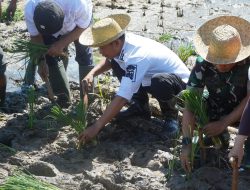 Tanam Padi Perdana di Sungai Andai, Yamin Ingatkan Ancaman Hilangnya Lahan Pertanian