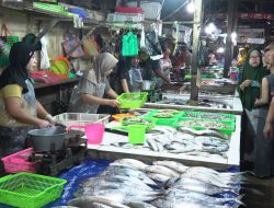 Monitoring Bapokting Diperketat, Sejumlah Komoditi Alami Fluktuasi Harga