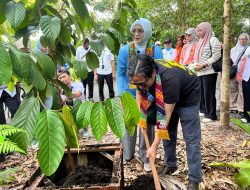 Wagub Kalsel Tanam Pohon di Arboretum Ayu Tirta, Tegaskan Komitmen Jaga Lingkungan