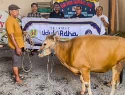 Idul Adha 1447 Hijriah, PWI Kalsel Akan Sembelih 3 Ekor Sapi