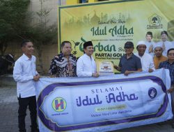 Jalankan Tradisi Momen Idul Adha, Hasnur Group Salurkan Sapi Kurban ke DPD Partai Golkar Kalsel