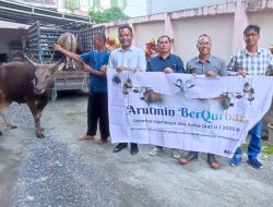 PT. Arutmin Berkurban Salurkan Satu Ekor Sapi ke PWI Kalimantan Selatan, Wujud Kolaborasi Dengan Mitra Kerja