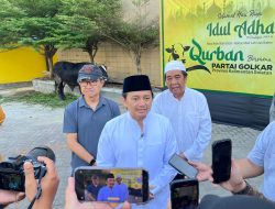 Dapat Sapi Kurban dari Ketua Umum, DPD Partai Golkar Kalsel Siap Bagikan ke Masyarakat Kurang Mampu