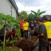 Golkar Banjarmasin Timur Bagikan Hewan Kurban Ke Masyarakat