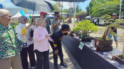 Ajang Pemanasan Sebelum Pamnas, 206 Penggemar Ikuti Local Expo Bonsai Fest 2026